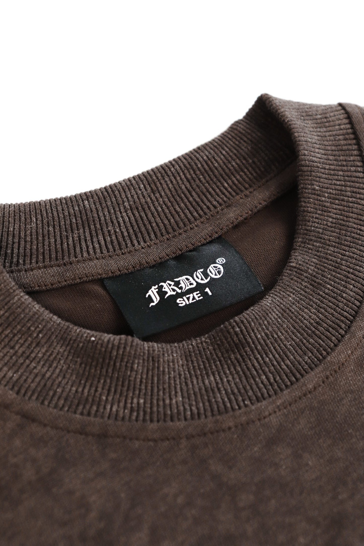 BATTLE DRAGON WASHED BROWN TEE