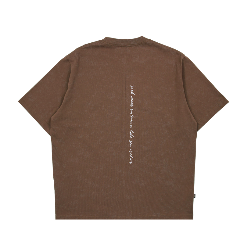 Core Basic Washed Tee Brown