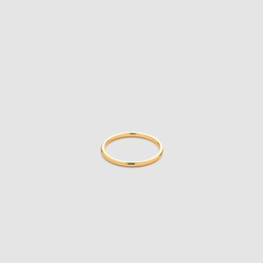 Daily Titanium Ring Gold