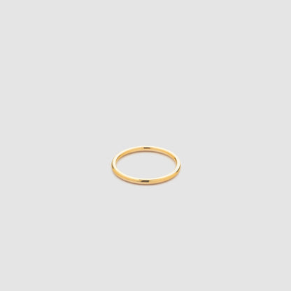 Daily Titanium Ring Gold