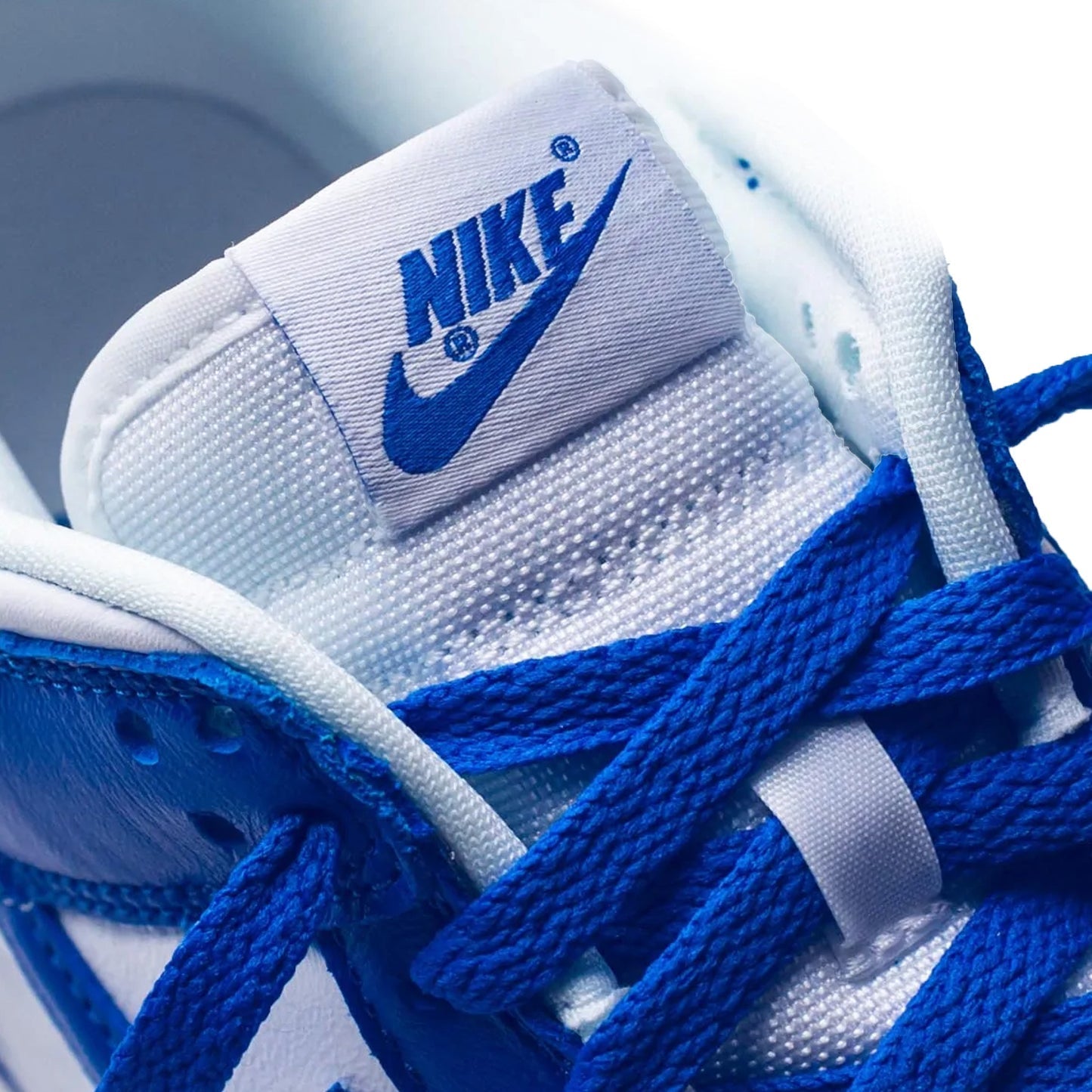 Nike Dunk Low SP Kentucky
