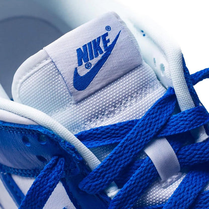 Nike Dunk Low SP Kentucky