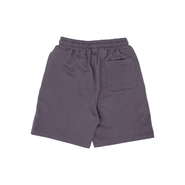 Asphalt Shorts Grey