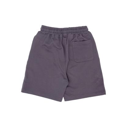 Asphalt Shorts Grey